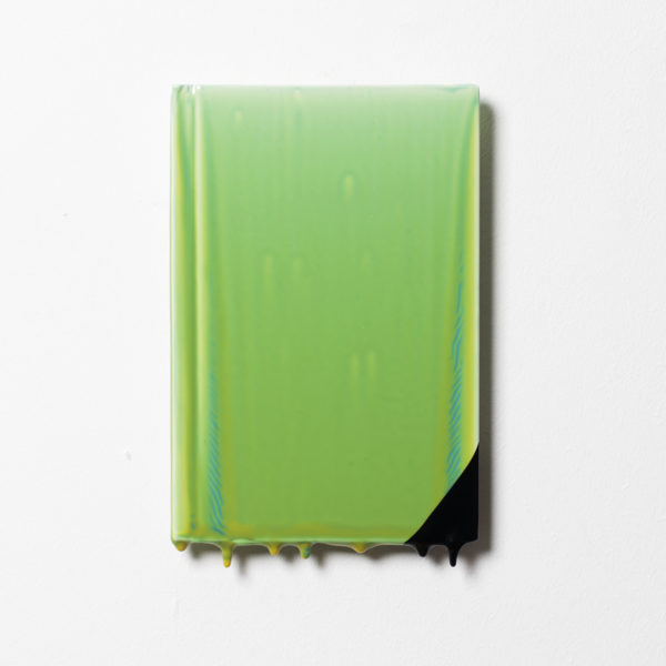 Judge a Book By Its Cover #10