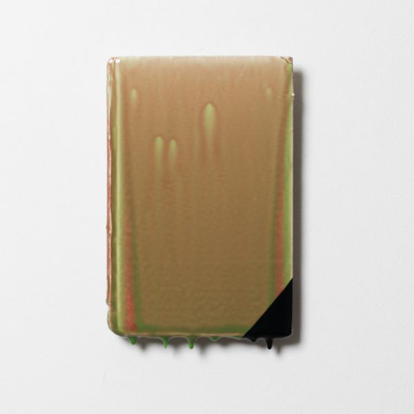 Judge a Book By Its Cover #6