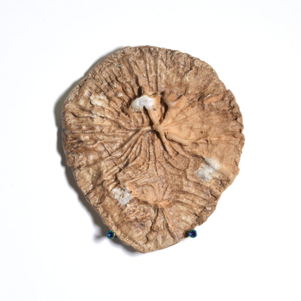 Ceramic Fencepost Imprint #11