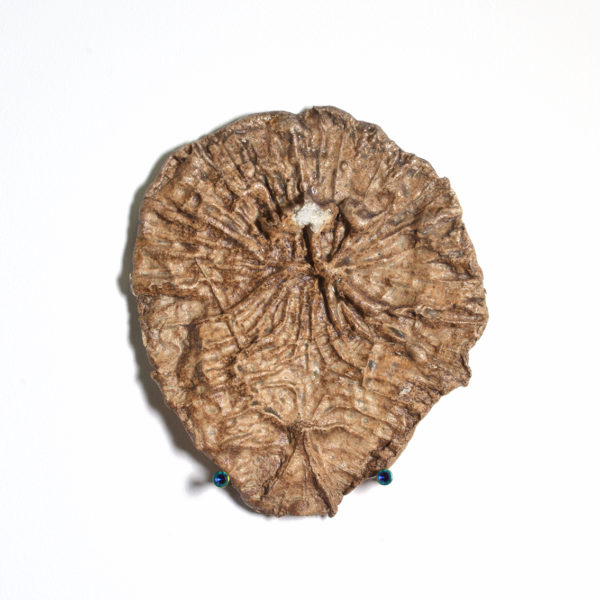 Ceramic Fencepost Imprint #12