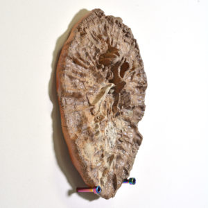 Ceramic Fencepost Imprint #1 - Image 2