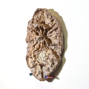 Ceramic Fencepost Imprint #1 - Image 3