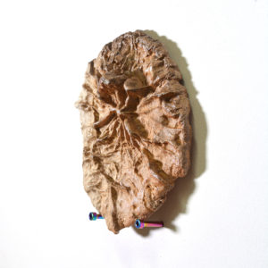 Ceramic Fencepost Imprint #5 - Image 2