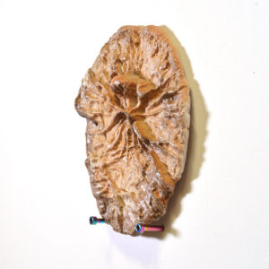 Ceramic Fencepost Imprint #7 - Image 2
