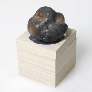 Fireball 1004 - Image 3