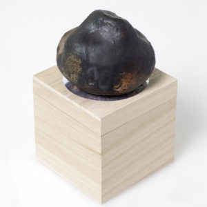 Fireball 1005 - Image 2