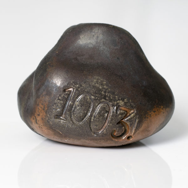 Fireball 1003